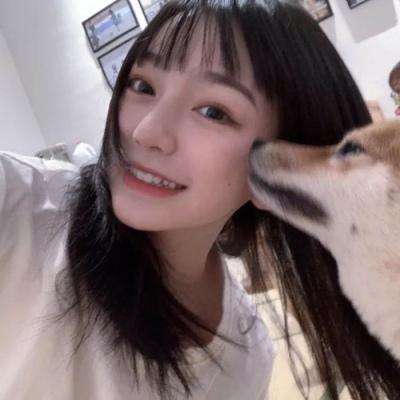 摩卡骑士果盘官方版下载